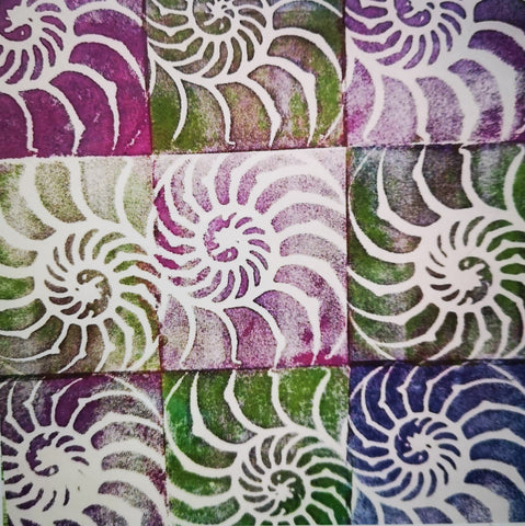 Nautilus Giclee Print