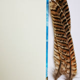Handbound journal / notebook / diary - feather design