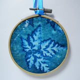 Herb Robert - original framed cyanotype