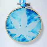 Acer - original framed cyanotype