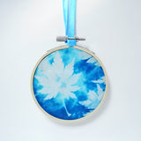 Maple - original framed cyanotype