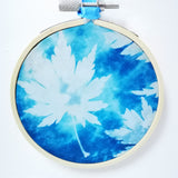 Maple - original framed cyanotype