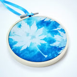 Maple - original framed cyanotype