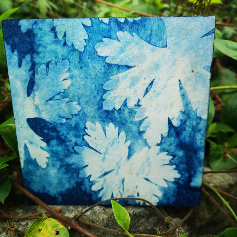Sunbleached - Mixed Media Collage Art Work on Wood Canvas