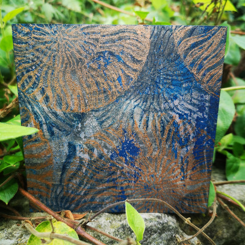 Nautilus - Mixed Media Collage Art Work on Wood Canvas