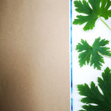 Handbound journal / notebook / diary -  geranium leaf design