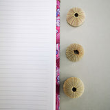 Handbound journal / notebook / diary - sea urchin design