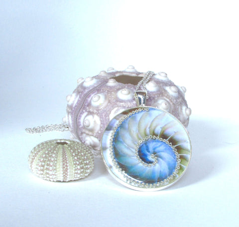 Nautilus - silver plated pendant and necklace